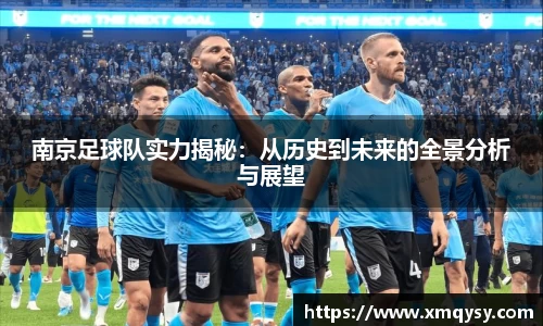 南京足球队实力揭秘：从历史到未来的全景分析与展望