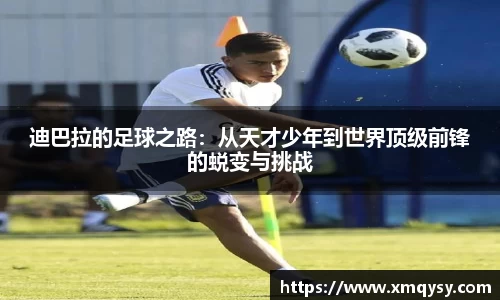 乐动LDSports官网